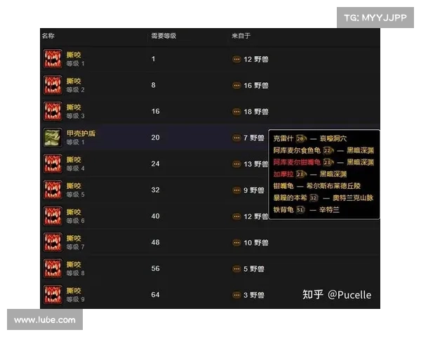 魔兽世界猎人宝宝技能控制指南